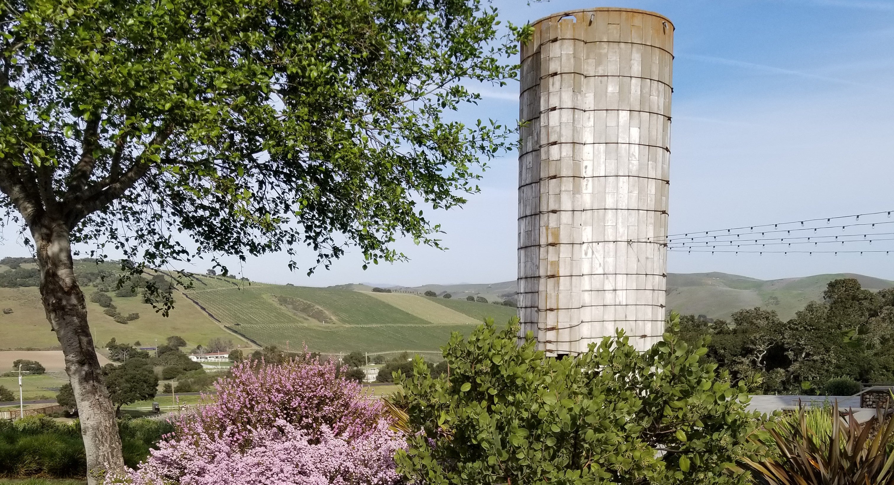 spear winery sta. rita hills