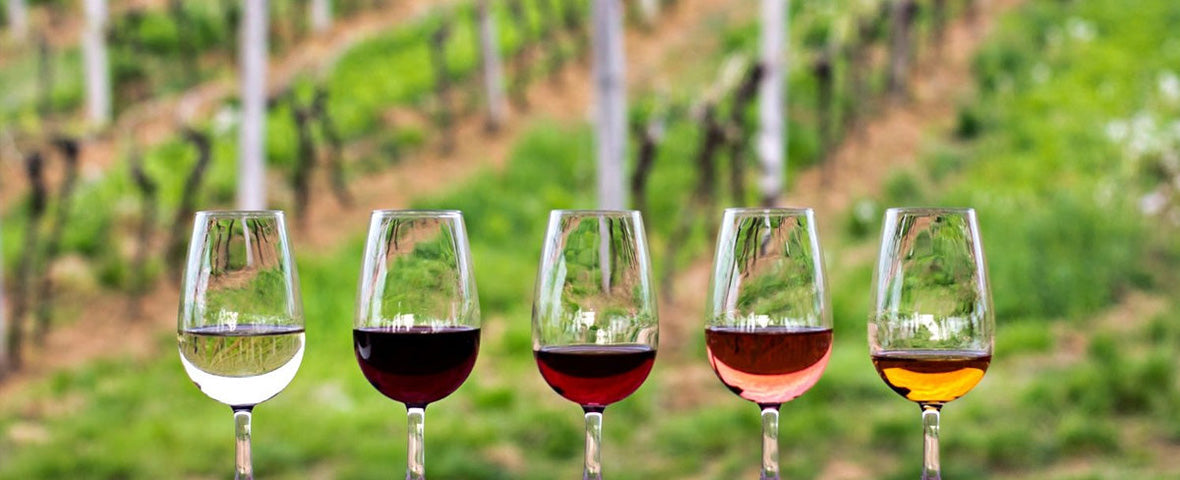 how soil impacts wine quality