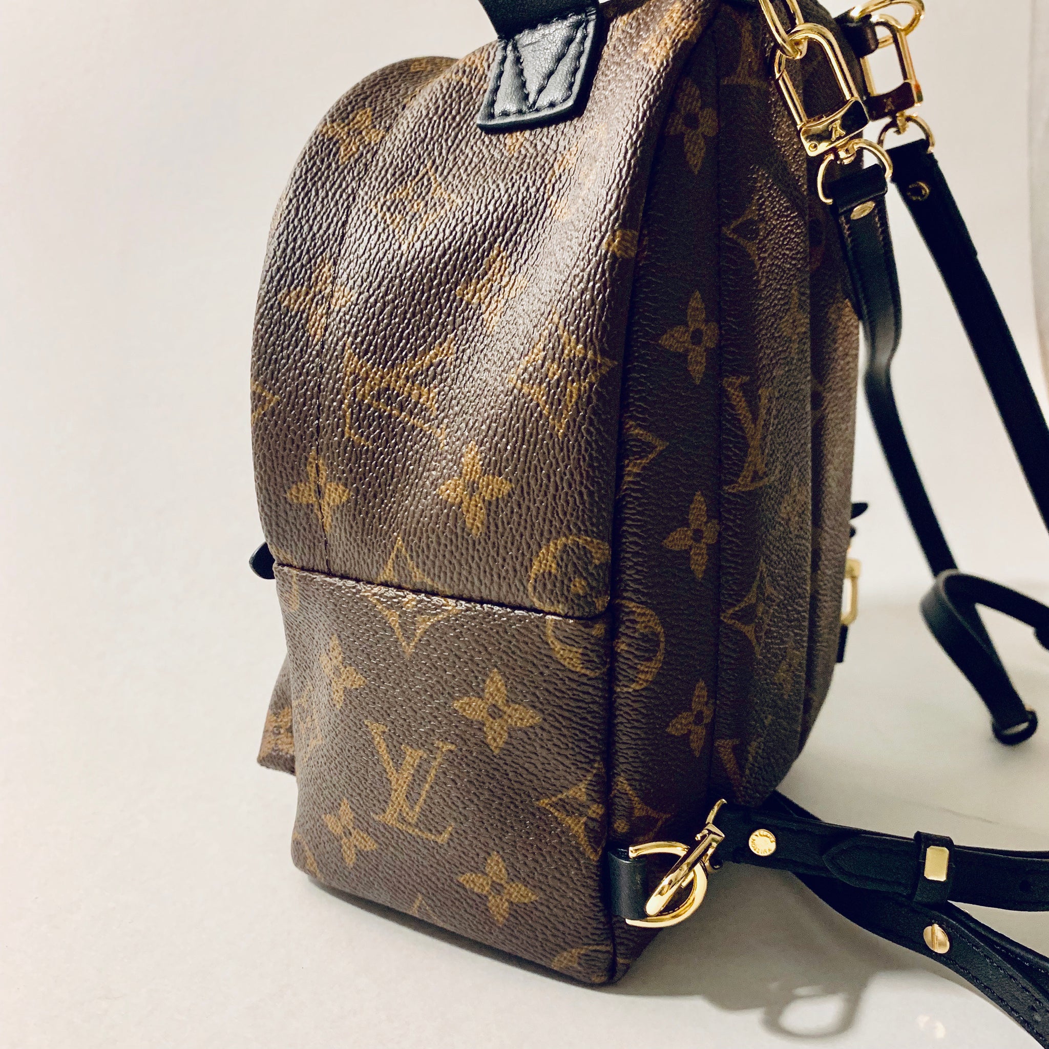 vuitton palm springs mini