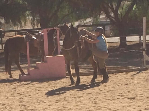 weight in the stirrup wild mustang horse