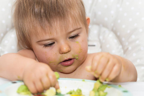 baby in highchair playing with avocado