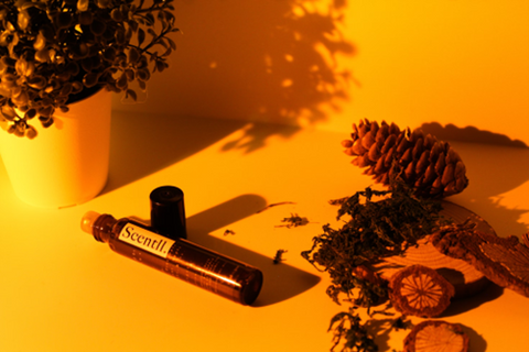 An orange-tinted, atmospheric shot of a men’s fragrance among pine cones and dried fruit. Source: <span data-mce-fragment="1"><a href="https://unsplash.com/photos/black-and-silver-tube-bottle-on-white-table--gXfVwgldDE" data-mce-href="https://unsplash.com/photos/black-and-silver-tube-bottle-on-white-table--gXfVwgldDE" data-mce-fragment="1">unsplash</a></span>.