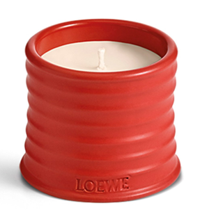 The viral tomato-scented candle in a bright red vessel from <span data-mce-fragment="1"><a href="https://www.loewe.com/eur/en/women/home/scented-candles/tomato-leaves-candle/P000250X19-7100.html?ranEAID=TnL5HPStwNw&amp;ranMID=47194&amp;ranSiteID=TnL5HPStwNw-3Bd4atkHLq9btxMlr8FIyg&amp;utm_campaign=LOEWE_Paulas_Ibiza_22&amp;utm_medium=Affiliates&amp;utm_source=Skimlinks.com" data-mce-fragment="1" data-mce-href="https://www.loewe.com/eur/en/women/home/scented-candles/tomato-leaves-candle/P000250X19-7100.html?ranEAID=TnL5HPStwNw&amp;ranMID=47194&amp;ranSiteID=TnL5HPStwNw-3Bd4atkHLq9btxMlr8FIyg&amp;utm_campaign=LOEWE_Paulas_Ibiza_22&amp;utm_medium=Affiliates&amp;utm_source=Skimlinks.com">LOEWE</a></span>.