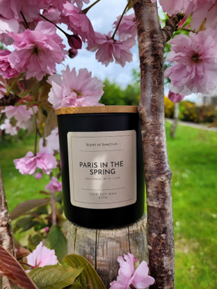 A ‘Paris in the Spring’ handmade candle in a blooming floral setting from <span data-mce-fragment="1"><a href="https://www.etsy.com/uk/listing/1194234400/paris-in-the-spring-scented-soy-candle?ga_order=most_relevant&amp;ga_search_type=all&amp;ga_view_type=gallery&amp;ga_search_query=spring+candles&amp;ref=sr_gallery-1-9&amp;organic_search_click=1" data-mce-fragment="1" data-mce-href="https://www.etsy.com/uk/listing/1194234400/paris-in-the-spring-scented-soy-candle?ga_order=most_relevant&amp;ga_search_type=all&amp;ga_view_type=gallery&amp;ga_search_query=spring+candles&amp;ref=sr_gallery-1-9&amp;organic_search_click=1">Etsy</a></span>.