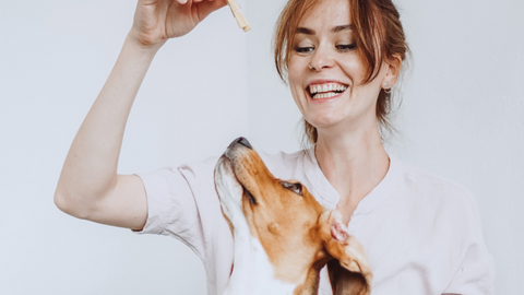 girl training a dog with treat