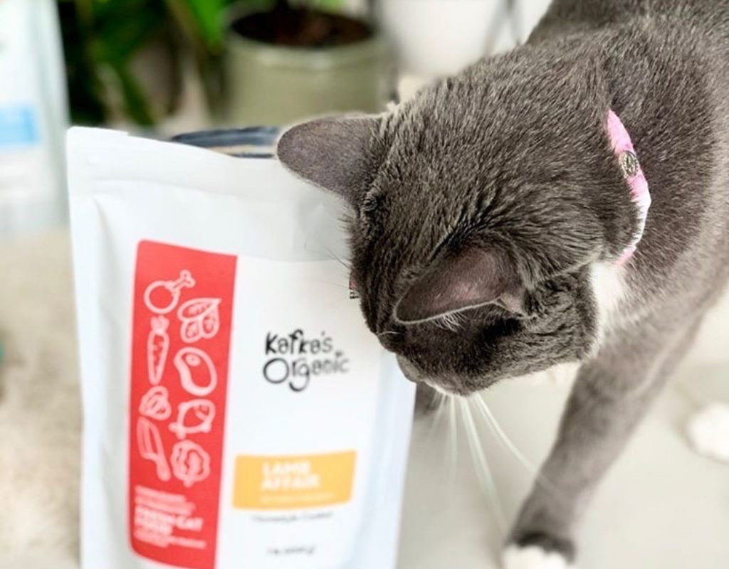 Cat is rubbing up against a bag of kafkas organic healthy fresh pet meals