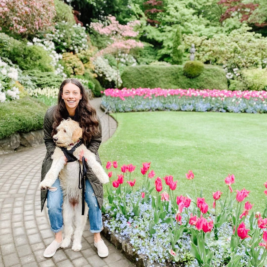 dog and his owner standing in the Butchart Gardens in Victoria BC