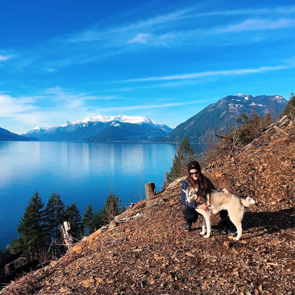 dog-friendly-camping-in-bc-sasquatch