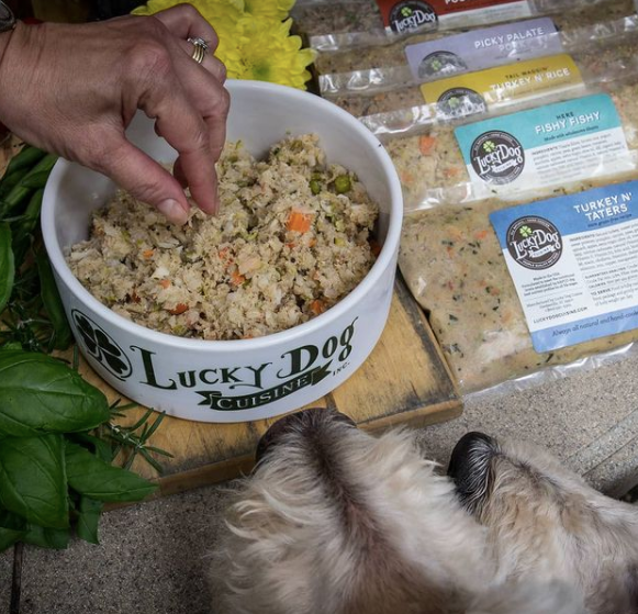 a bowl of fresh pet food from lucky dog cusine and a dog is sniffing into the bowl. There are packages of lucky dog cusine pet meals on the side of the bowl