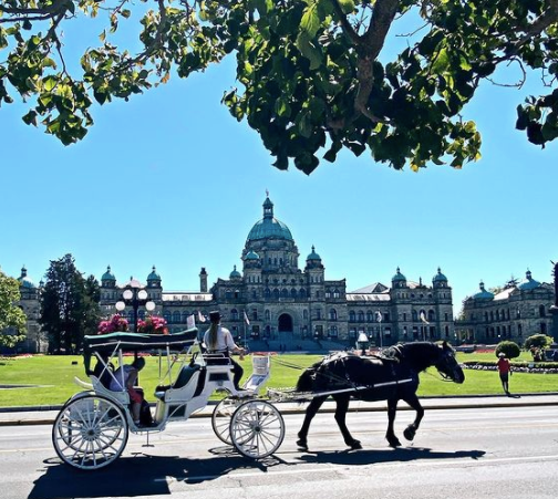 Carriage tour rides in Victoria 