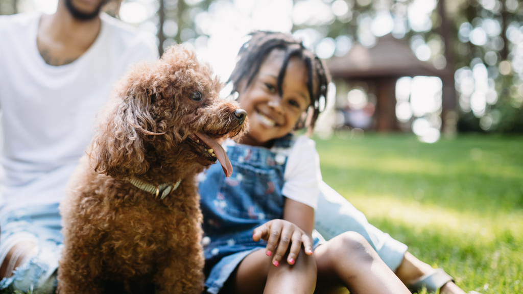 Girl with her red toy poodle