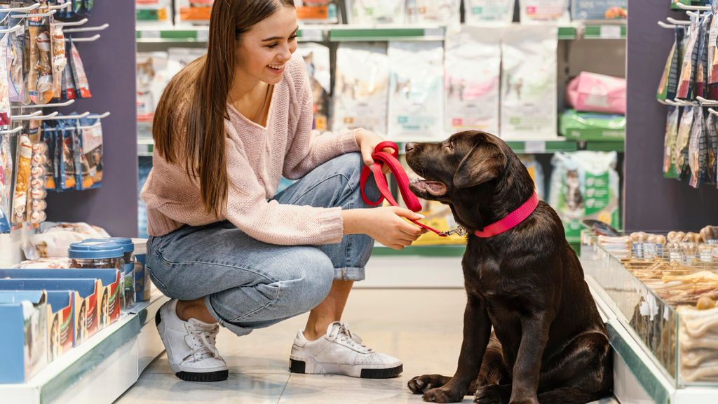 Shopping with a puppy