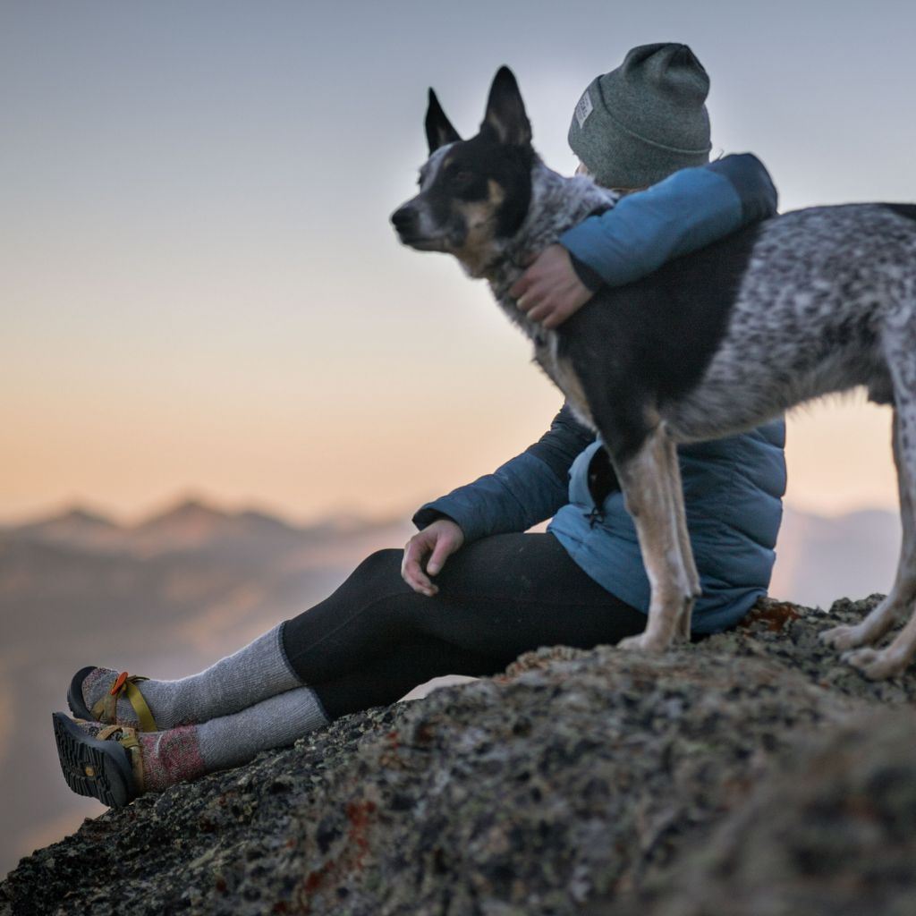 Dog sitting with a person on a mountain top