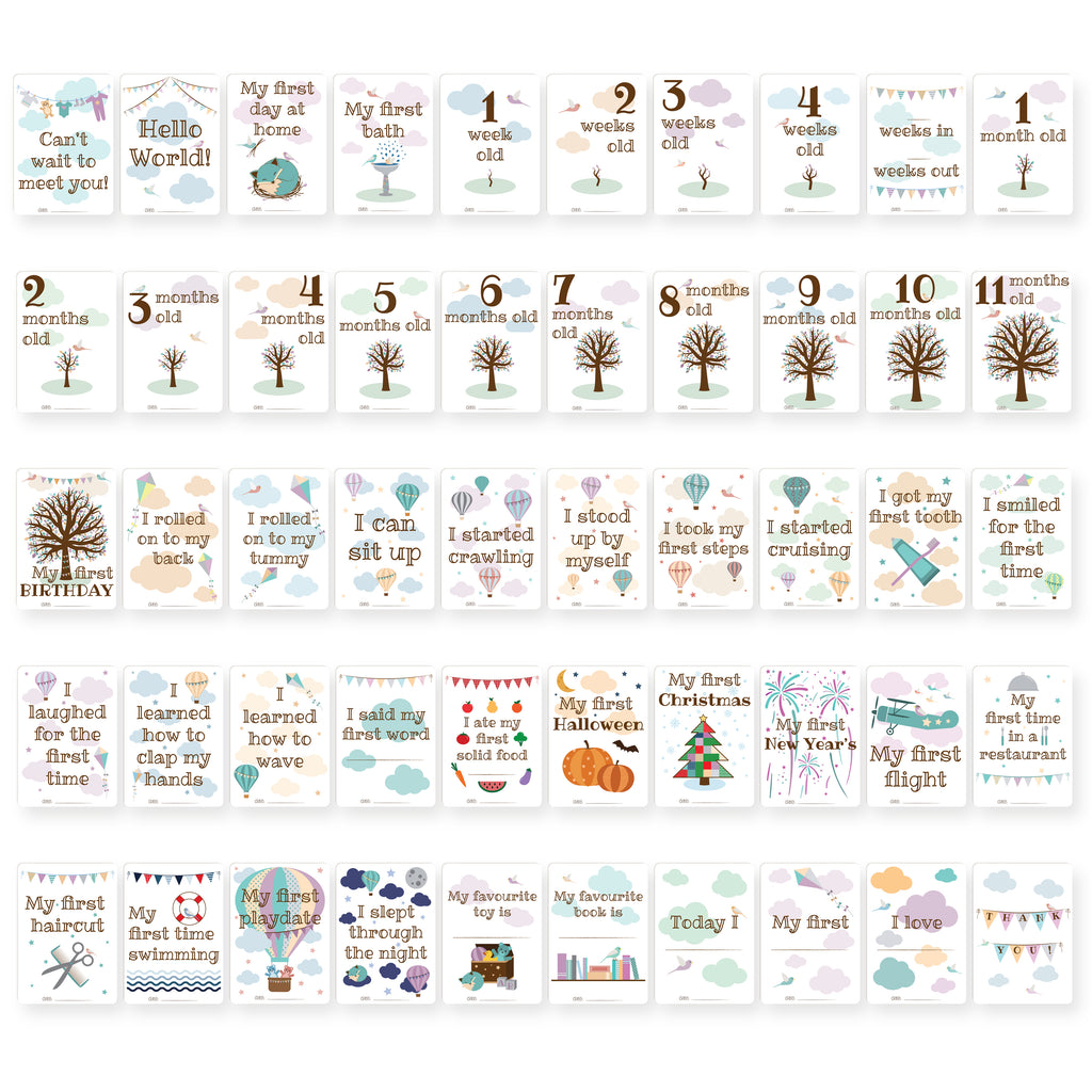 baby milestone cards next