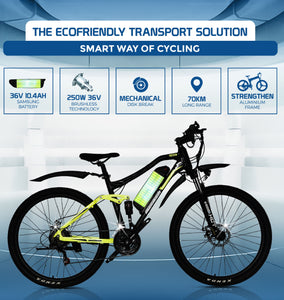 ausstech electric bike review