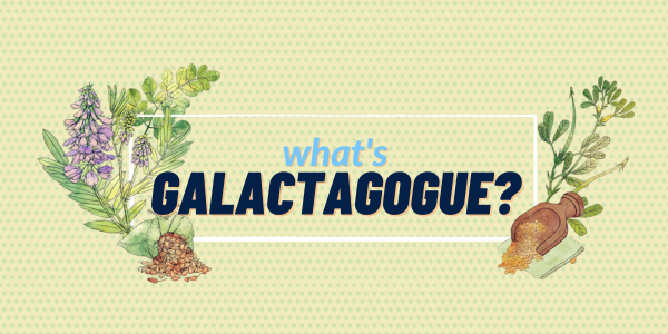 Galactagogue-Information