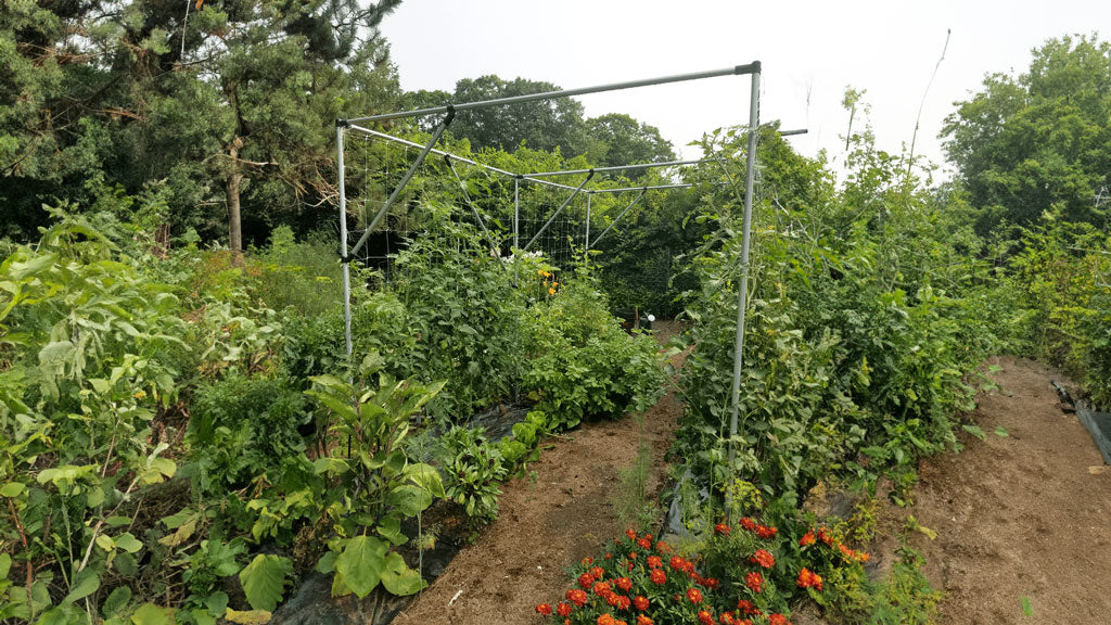 DIY Walkway Arch Trellis Inside Of A Big Garden