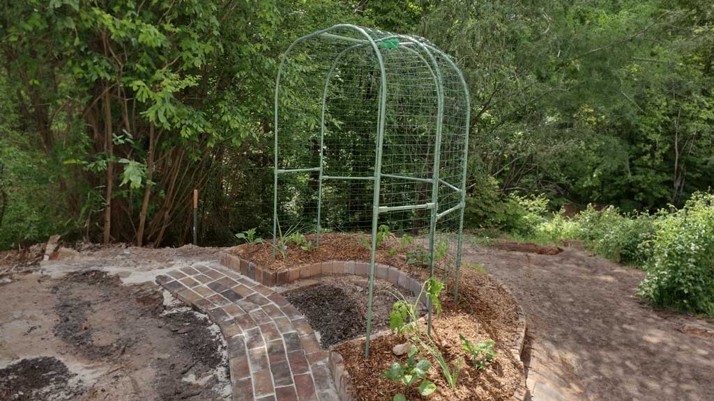 DIY Arched Ged Trellis Built With Conduit & Connectors