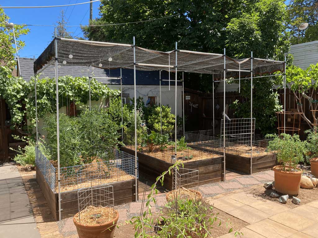 Raised garden bed and sunshade made with EMT Conduit and connector clamps