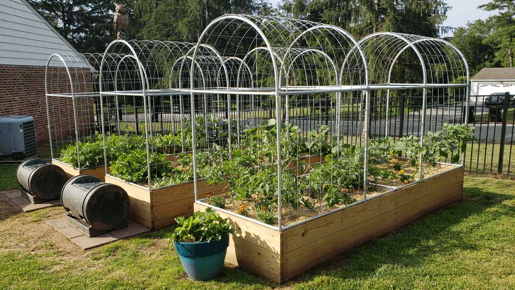 DIY Garden Bed Trellises Made With EMT Conduit