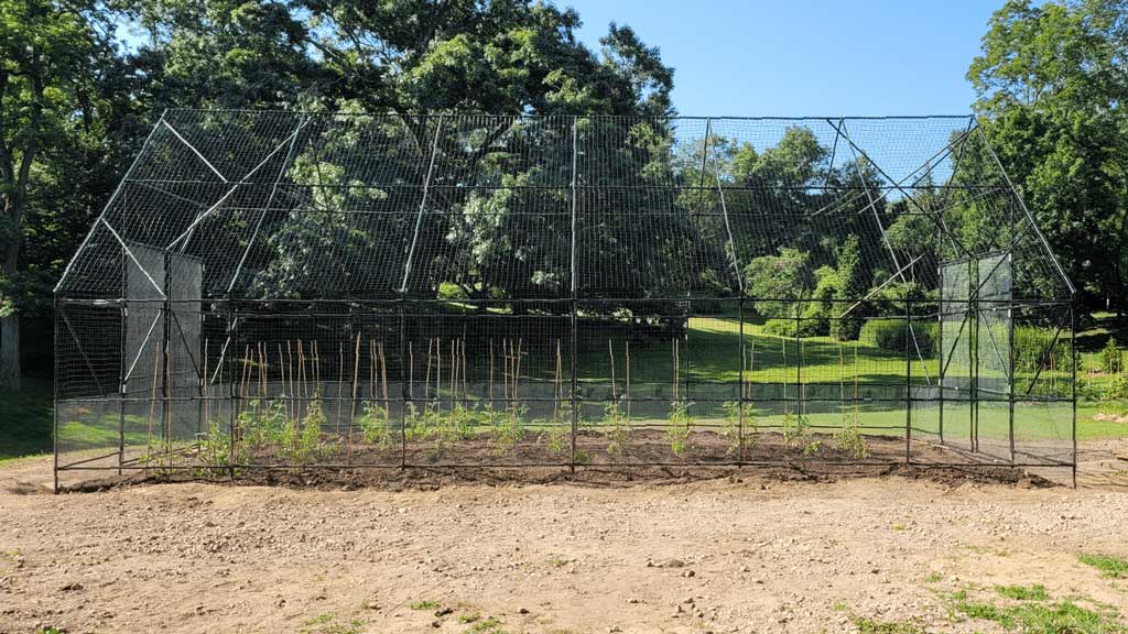 Huge garden enclosure fence made with EMT Conduit, cattle panels, and connectors