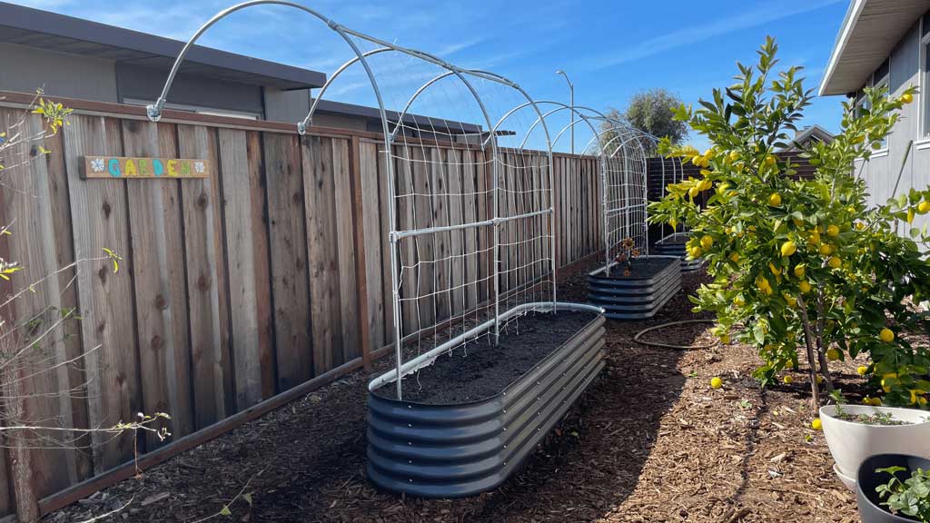 Custom garden trellis support structure made with emt conduit and maker pipe clamps