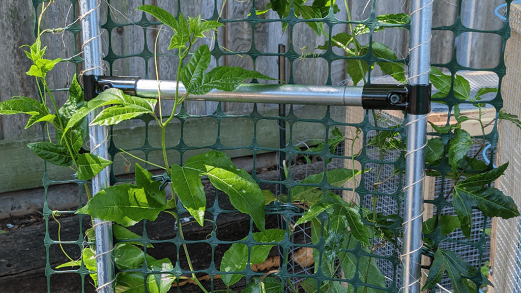 Custom plant trellis structure with plastic fencing attached to the pipes