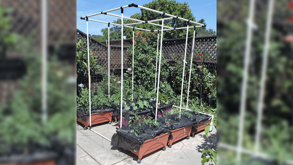 Freestanding Tomato Trellis Structure