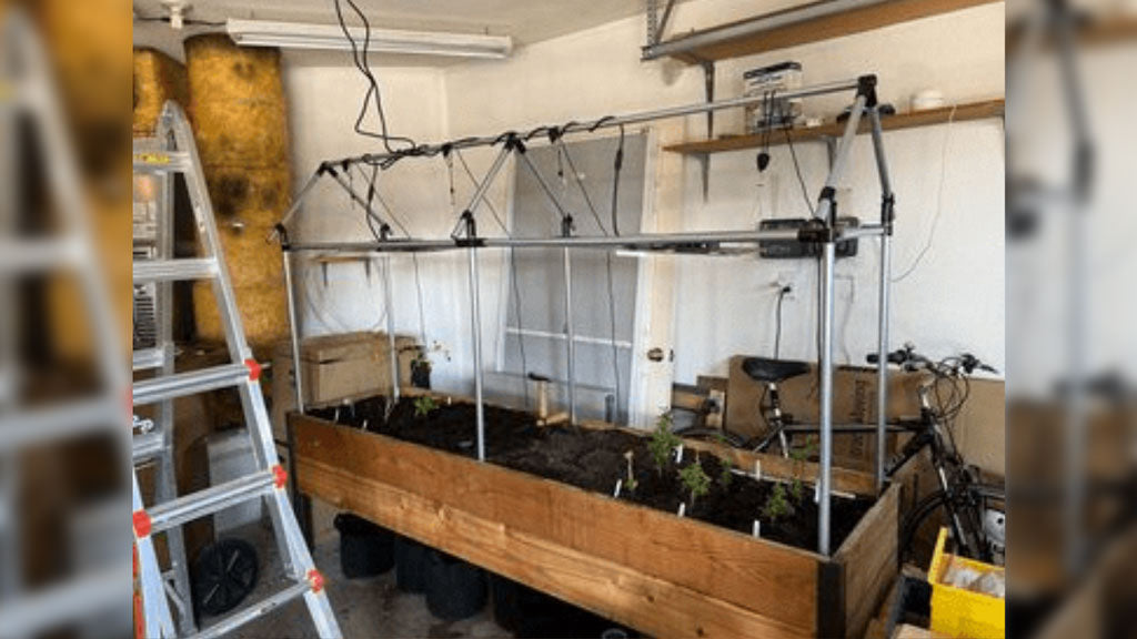 DIY Garden Box Trellis And Greenhouse Made With Pipes