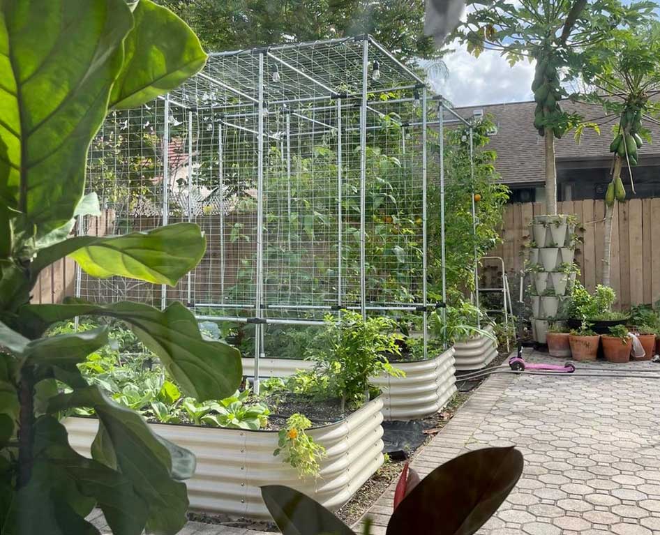 DIY garden trellises built on top of a steel raised garden bed