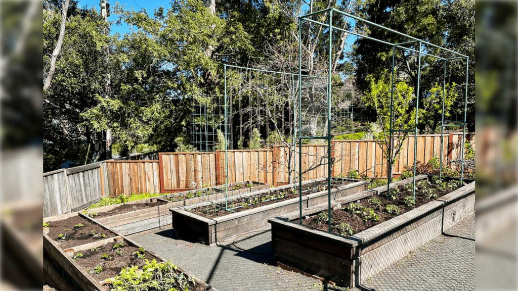 DIY Trellises Made With EMT Conduit & Connectors