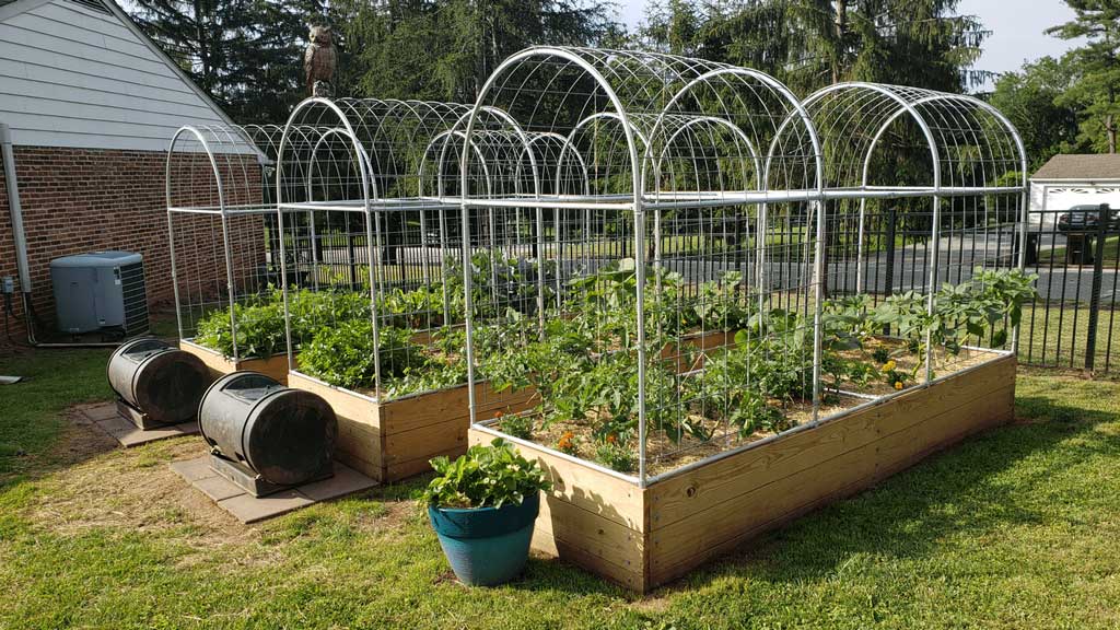 Custom garden trellis for climbing plants made with pipes and connectors