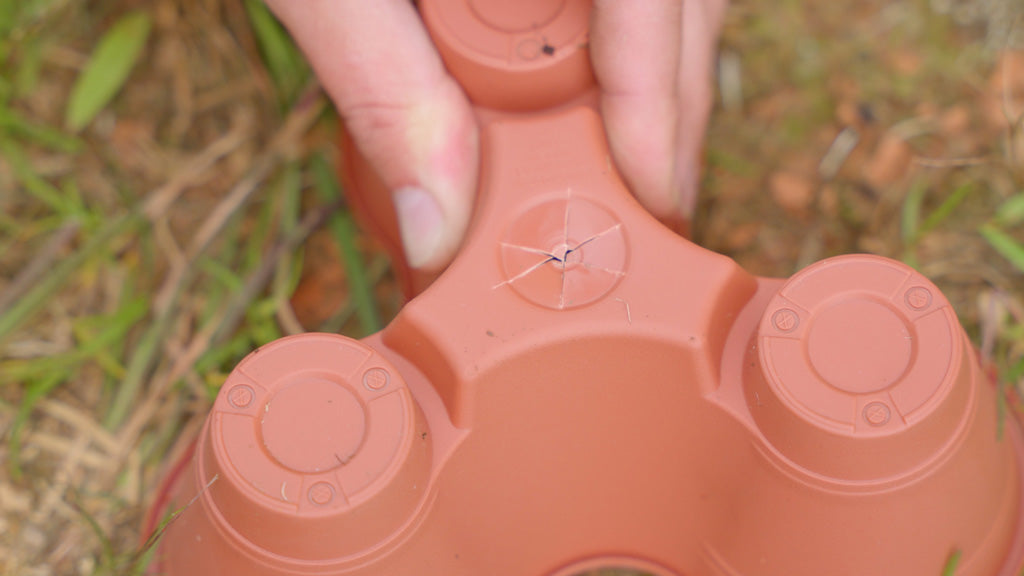 Picture of a gardener cutting a stackable plant tray