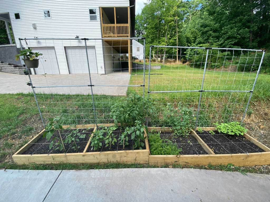 Single panel garden trellis made with metal tubing and clamps