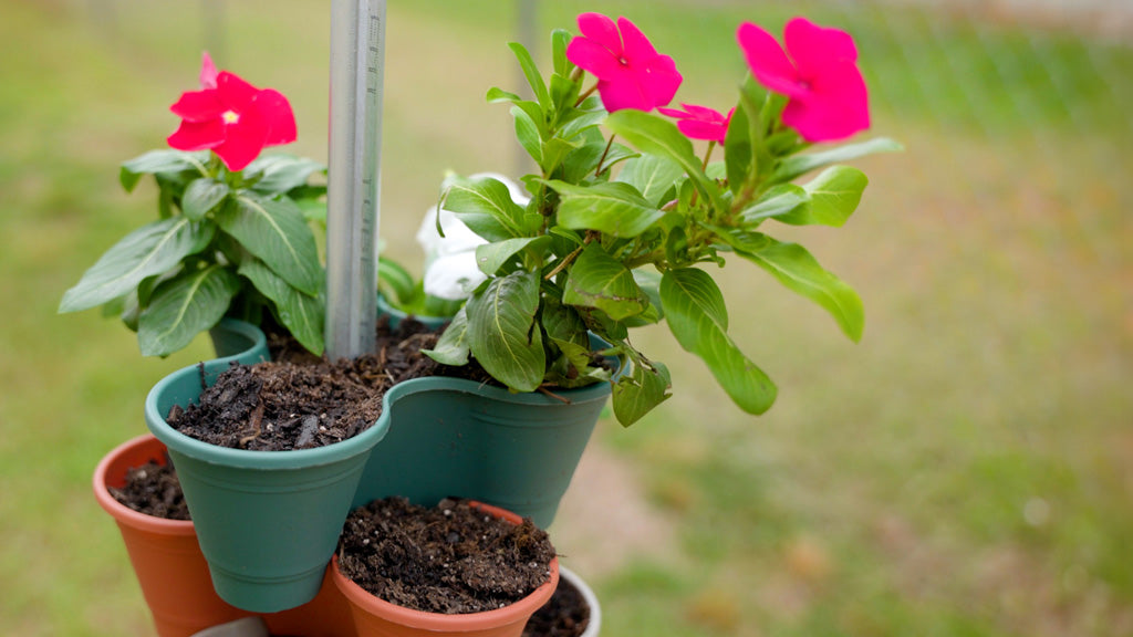 Stackable Plant Trays Attached To A Conduit Build