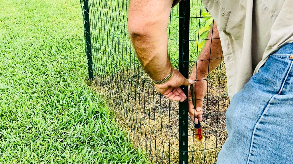 Man cutting wire fence inside of an outdoor garden