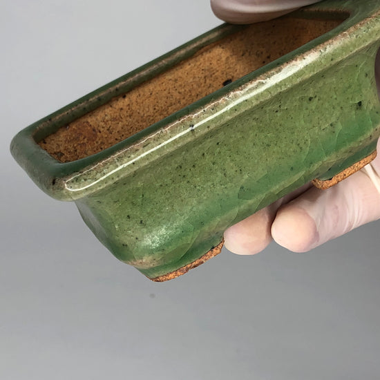 Rectangle Bonsai Pot with Rim in Blue, Green & Yellow Glaze by