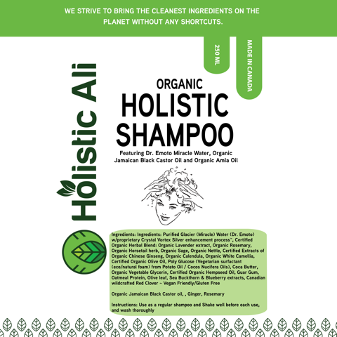 Organic Jamaican Black Castor Ginger Rosemary Shampoo 2 bottles 250ml each - Holistic Thingz product image