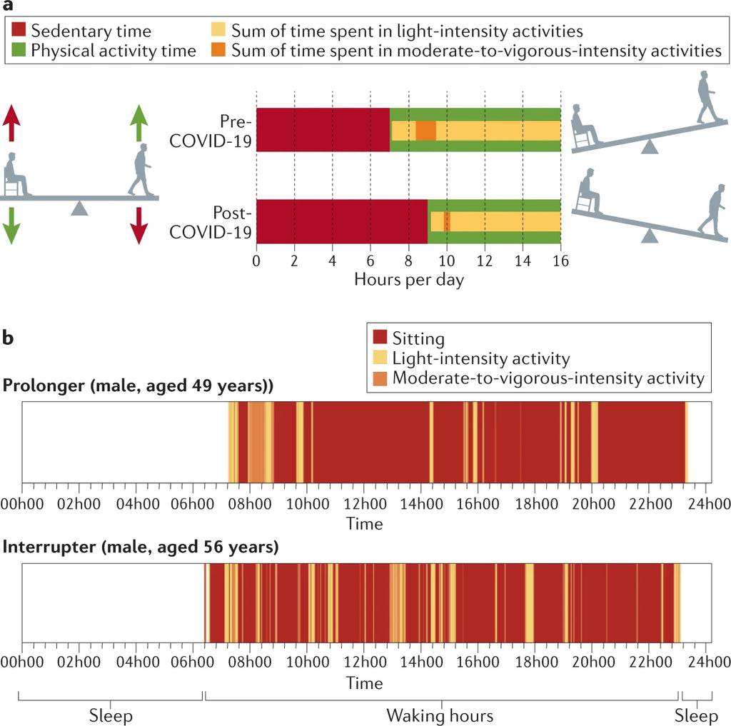 Single-day activity data generated from the activPAL device.