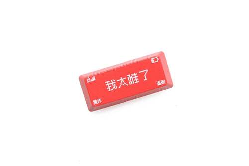 Novelty Shine-through keycap backspace enter ABS OEM profile wo tai nan le 我太难了