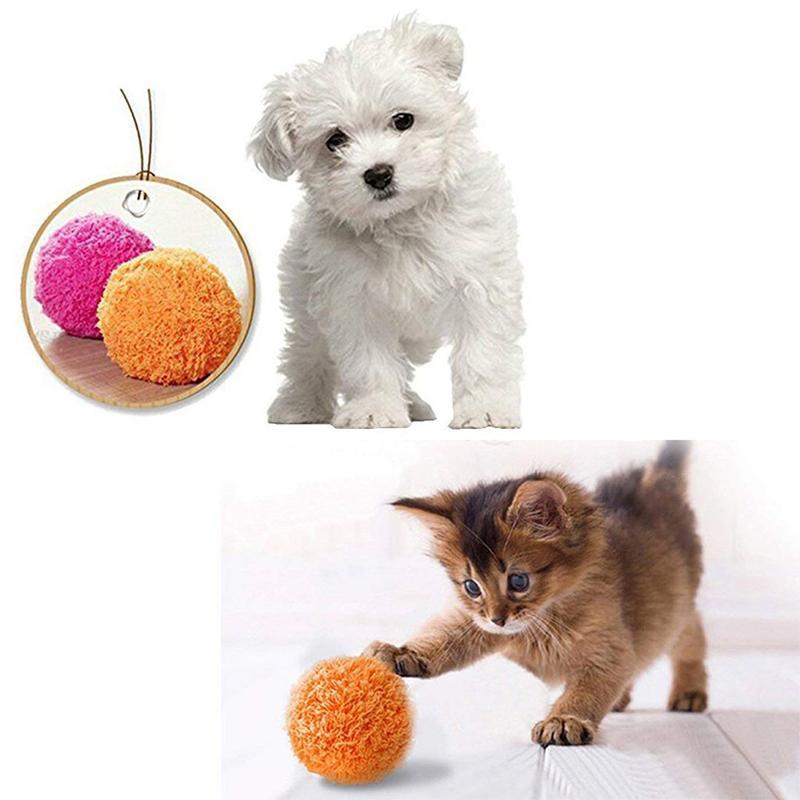 cat roller ball toy
