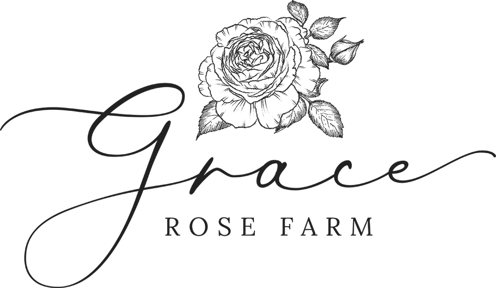 Princess Hitomi - Grace Rose Farm