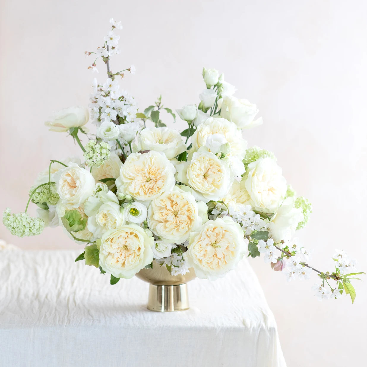 Enid Garden Rose