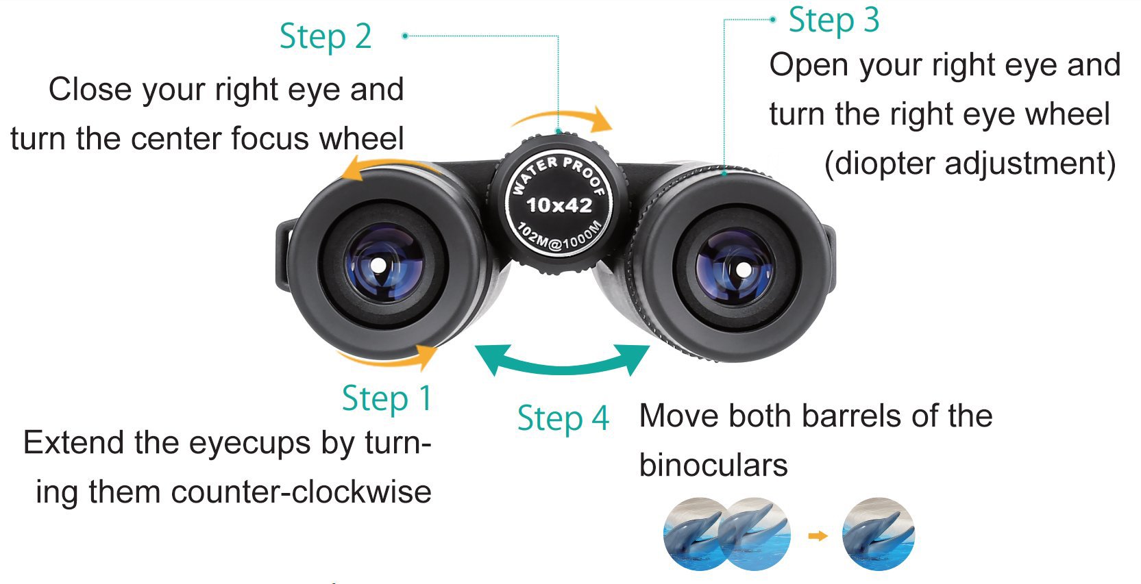 How_to_focus_SkyGenius_10x42_binoculars