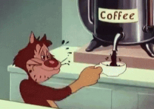 Kedi kahve içiyor