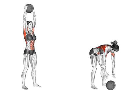 https://cdn.shopify.com/s/files/1/2714/5476/files/25451101-Medicine-Ball-Overhead-Slam-_female__Back_small_2a61bde8-ef03-49a8-b977-7a84c4d0222b_480x480.png?v=1675114473