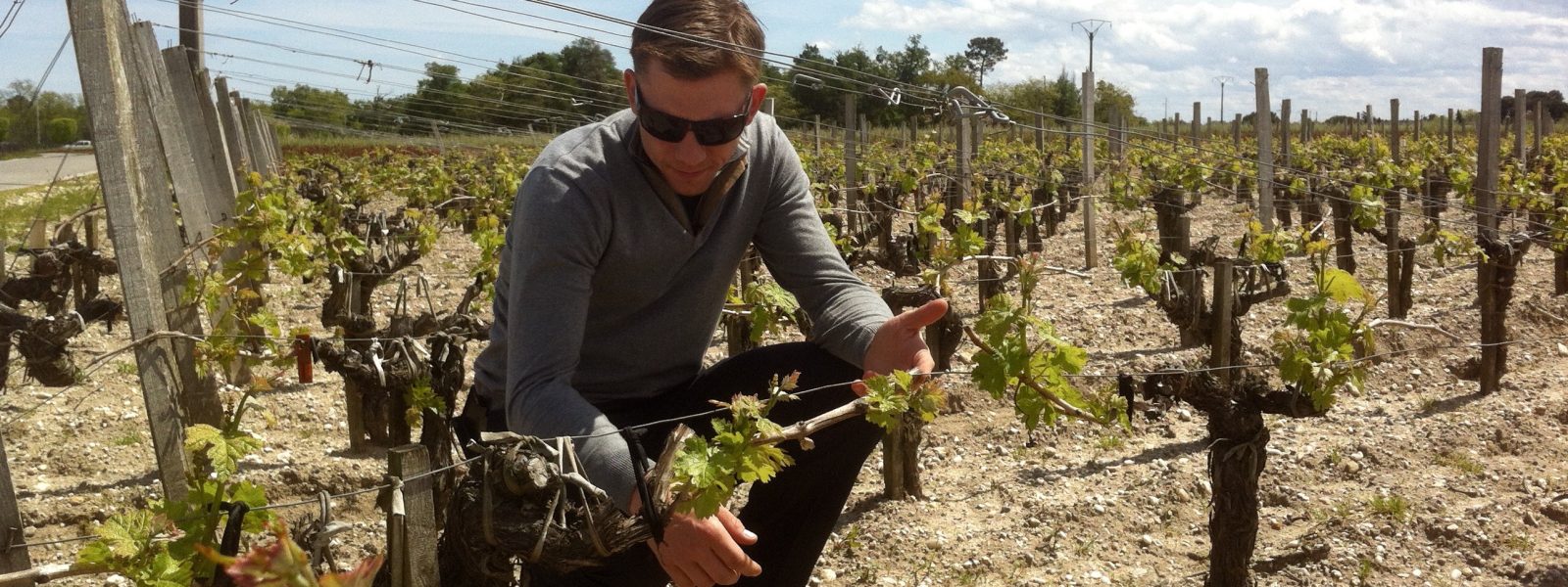 Adrian in a vineyard in Europe