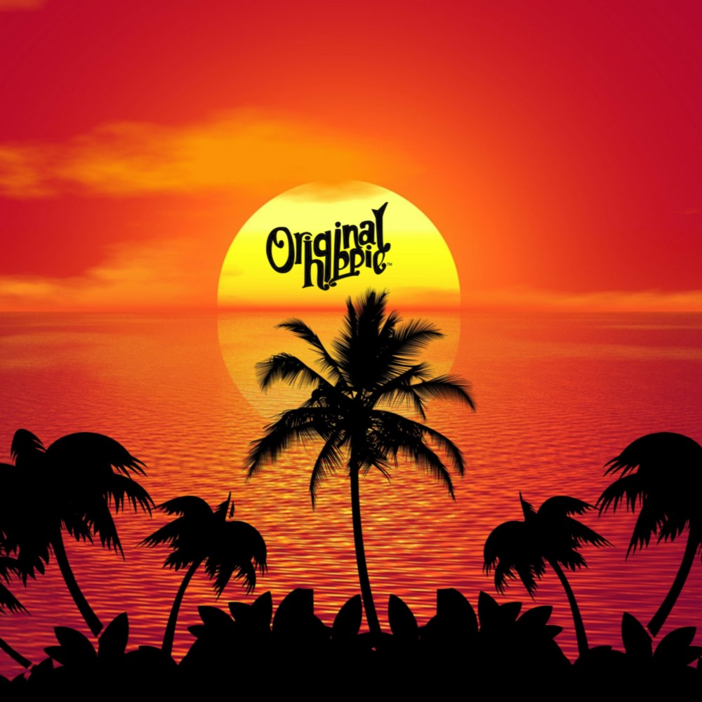 Original Hippie Desktop Sunset Wallpaper – Original Hippie®