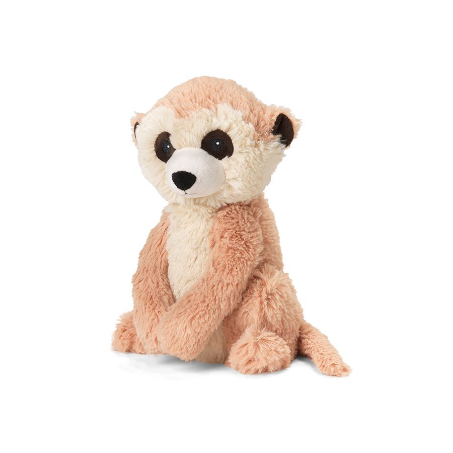 meerkat teddy