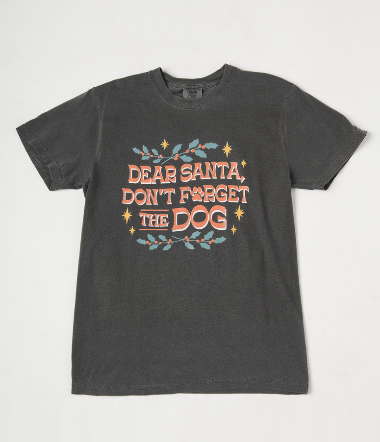 Santa Don't Forget the Dog Graphic Tee